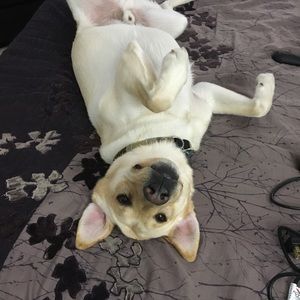 Meet your Posher, Emily